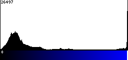 Blue Histogram