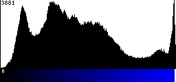 Blue Histogram