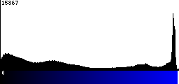 Blue Histogram