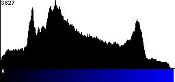 Blue Histogram