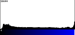 Blue Histogram