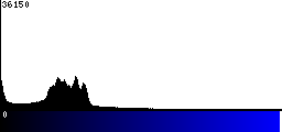 Blue Histogram