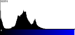 Blue Histogram
