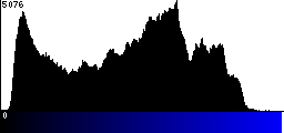 Blue Histogram