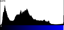Blue Histogram