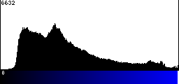 Blue Histogram