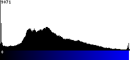 Blue Histogram