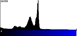 Blue Histogram