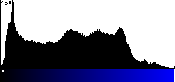 Blue Histogram