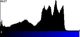 Blue Histogram