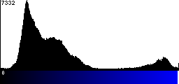 Blue Histogram