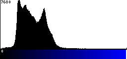 Blue Histogram