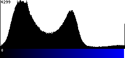 Blue Histogram