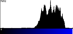 Blue Histogram