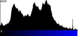 Blue Histogram