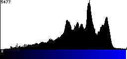 Blue Histogram