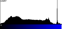 Blue Histogram