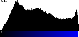 Blue Histogram
