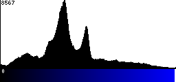 Blue Histogram