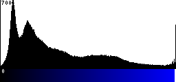 Blue Histogram