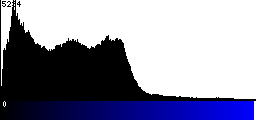Blue Histogram