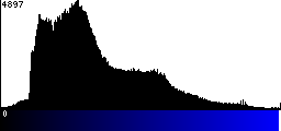 Blue Histogram