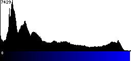Blue Histogram