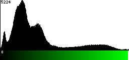 Green Histogram