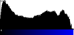 Blue Histogram