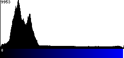 Blue Histogram