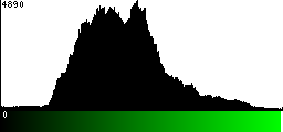 Green Histogram