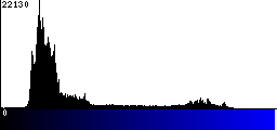 Blue Histogram