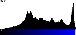 Blue Histogram