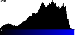 Blue Histogram