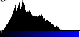 Blue Histogram