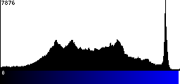 Blue Histogram