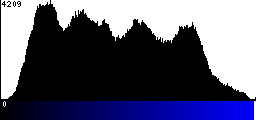 Blue Histogram