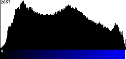 Blue Histogram