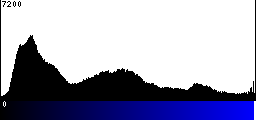 Blue Histogram
