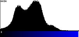 Blue Histogram
