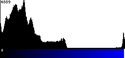 Blue Histogram