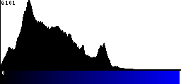 Blue Histogram