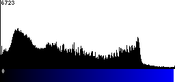 Blue Histogram