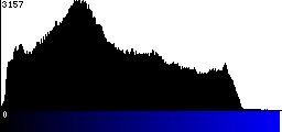 Blue Histogram