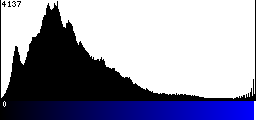 Blue Histogram
