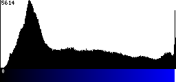 Blue Histogram