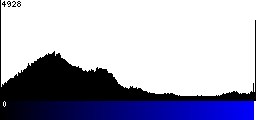 Blue Histogram