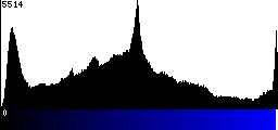 Blue Histogram