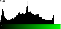 Green Histogram