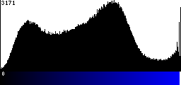 Blue Histogram